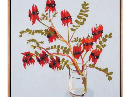 Sturt Desert Pea Cheap