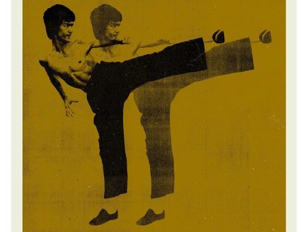 Bruce Lee Online Hot Sale