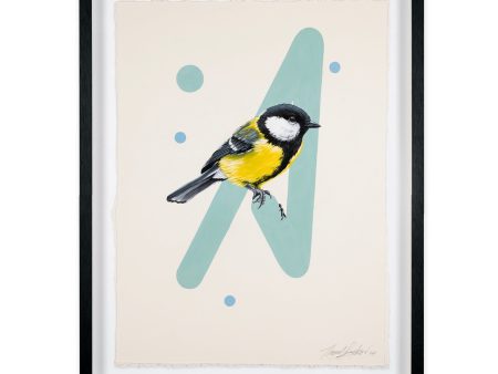 Great Tit For Sale