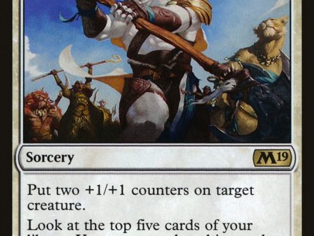 Ajani s Influence [Core Set 2019] Sale