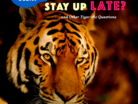 Do Tigers Stay Up Late?: . . . And Other Tiger-Ific Questions (Just Ask!) For Sale